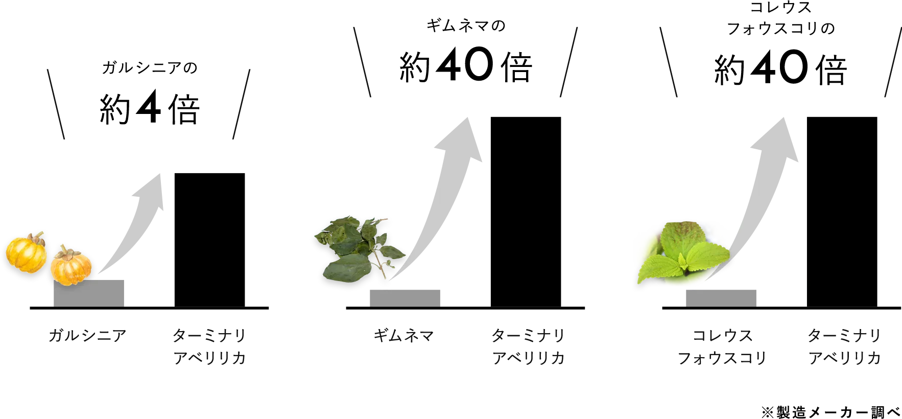 脂っこいものへアプローチするパワーの比較グラフ(製造メーカー調べ)